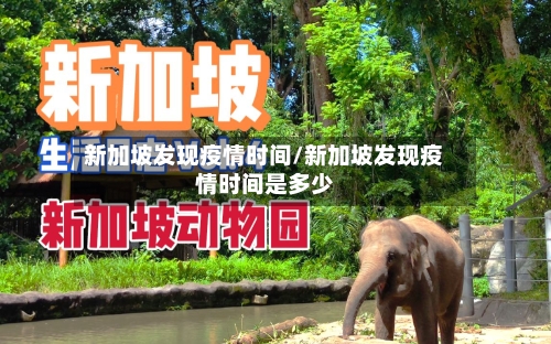 新加坡发现疫情时间/新加坡发现疫情时间是多少-第3张图片