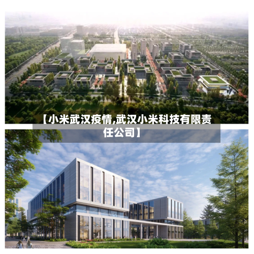 【小米武汉疫情,武汉小米科技有限责任公司】