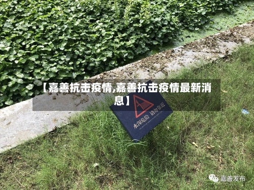 【嘉善抗击疫情,嘉善抗击疫情最新消息】-第2张图片