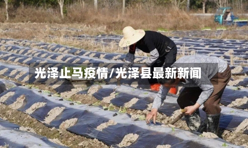 光泽止马疫情/光泽县最新新闻
