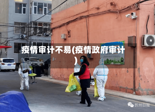 疫情审计不易(疫情政府审计)