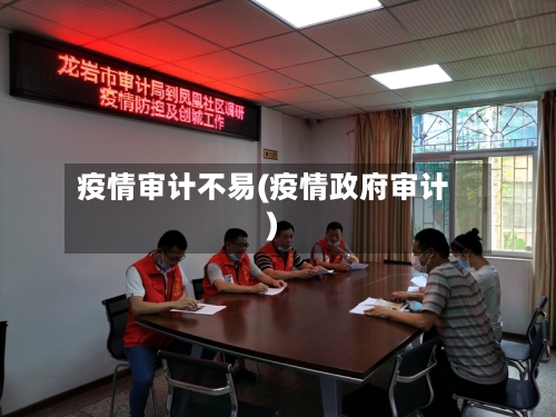 疫情审计不易(疫情政府审计)-第2张图片