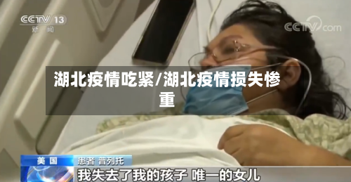 湖北疫情吃紧/湖北疫情损失惨重