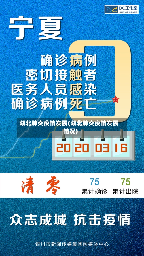 湖北肺炎疫情发展(湖北肺炎疫情发展情况)-第2张图片