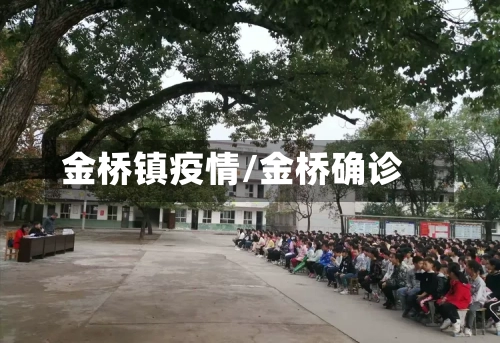 金桥镇疫情/金桥确诊