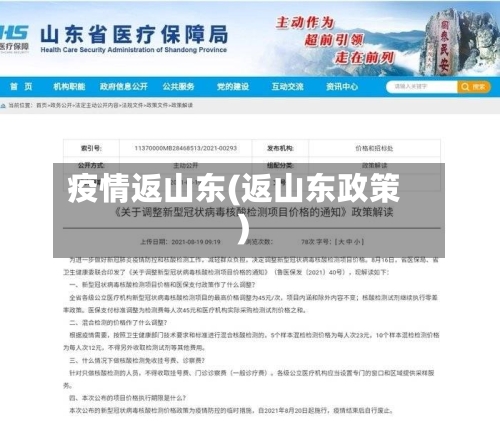 疫情返山东(返山东政策)