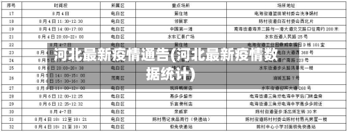 河北最新疫情通告(河北最新疫情数据统计)-第3张图片
