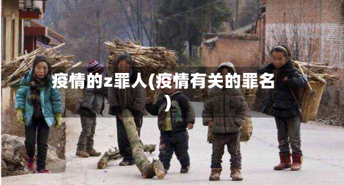 疫情的z罪人(疫情有关的罪名)-第2张图片