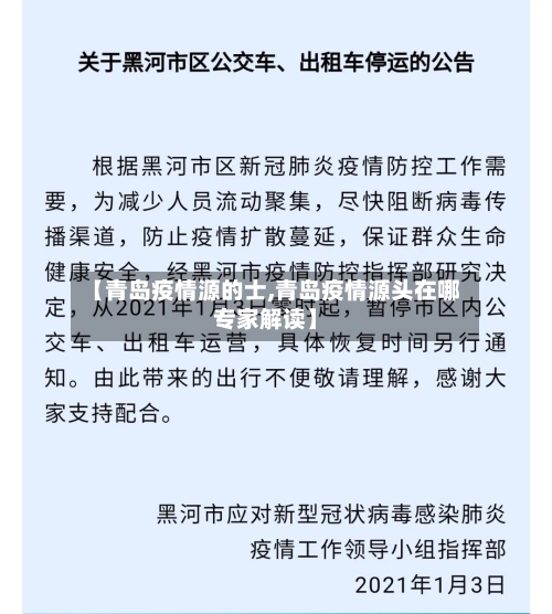 【青岛疫情源的士,青岛疫情源头在哪专家解读】-第2张图片