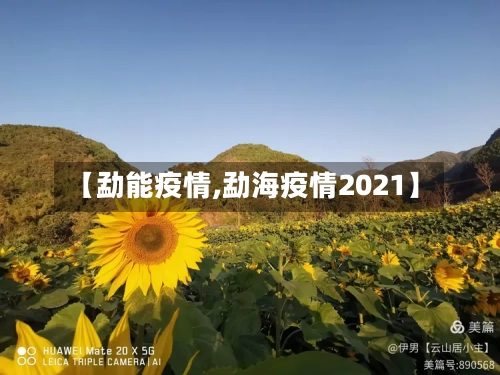 【勐能疫情,勐海疫情2021】