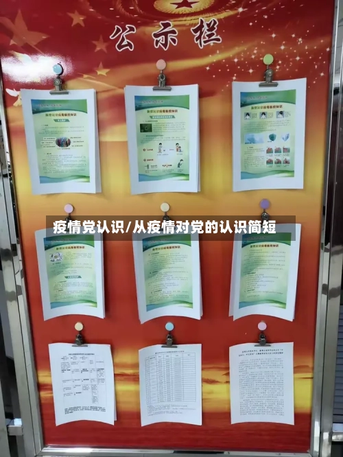 疫情党认识/从疫情对党的认识简短-第2张图片