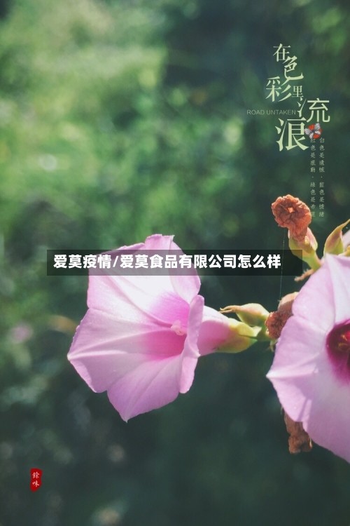 爱莫疫情/爱莫食品有限公司怎么样