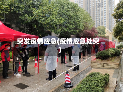 突发疫情应急(疫情应急处突)-第2张图片