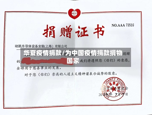 华夏疫情捐款/为中国疫情捐款捐物国家