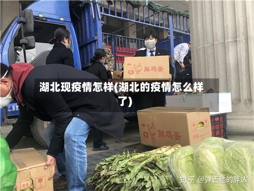 湖北现疫情怎样(湖北的疫情怎么样了)