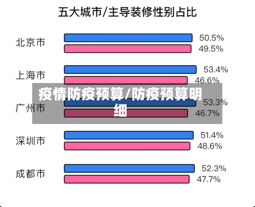 疫情防疫预算/防疫预算明细