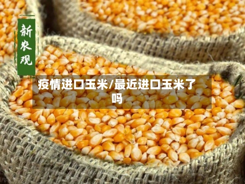 疫情进口玉米/最近进口玉米了吗-第3张图片