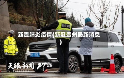 新贵肺炎疫情(新冠贵州最新消息)-第2张图片